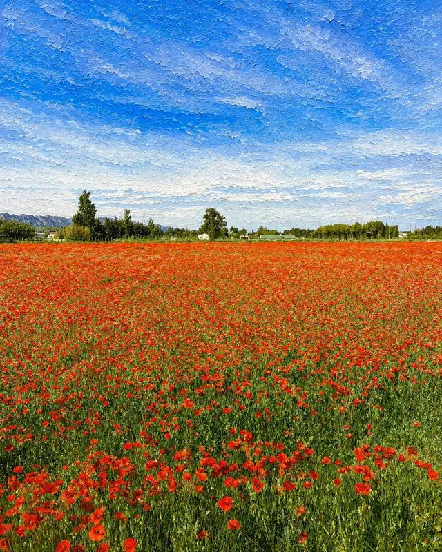 Mohnfeld · malerische Fotografie auf Leinwand, von Hand vollendet, Provence